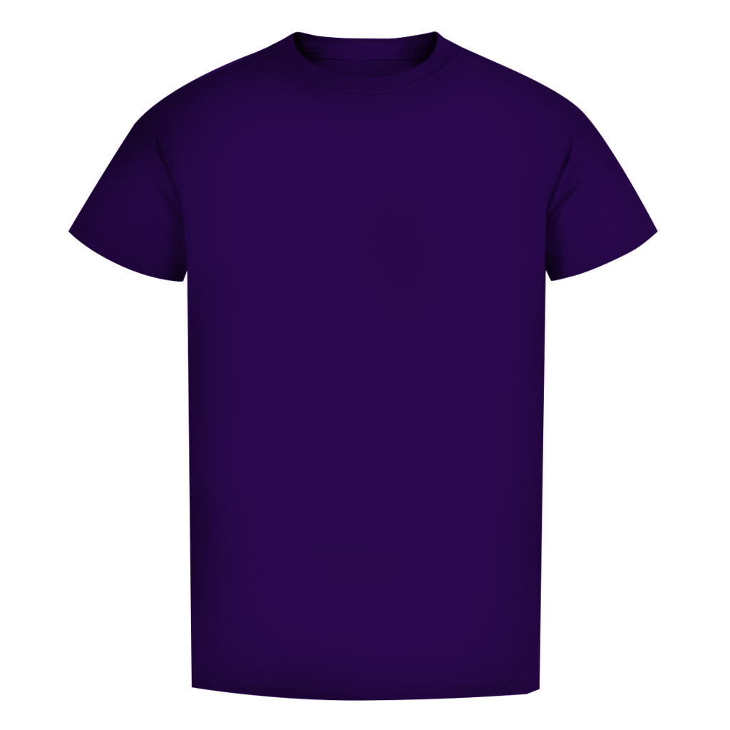 Herren Premium Bio T-Shirt C.H
